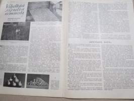 Kotiliesi 1933 nr 8, kansikuva Rudolf Koivu, Loitonneet puolisot, Miten naisen työ kuvastuu Suomen taiteessa, Viljelkää sipulia siemenestä, Ruusunkukkia, ym.