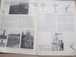 Kotiliesi 1933 nr 9, kansikuva Rudolf Koivu,Heikkoa sukukuntaa näin kasvatetaan, Nykyaikaisia ovia, Lasten vapputouhua, Kohtuusko vai ehdottomuus?, ym.