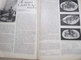 Kotiliesi 1933 nr 10, kansikuva Rudolf Koivu, Naiset vartioivat kirkolliskokousta, Kukkia metsästä kodin puutarhaan, Huonekalujen kesäpäällyksiä, Paula rentoutuu,ym.