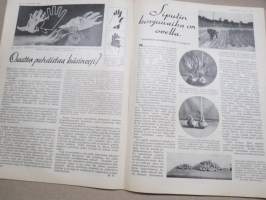 Kotiliesi 1933 nr 16, kansikuva Rudolf Koivu, Suomalaisia emäntiä, Kaatumatautisten huolto, Vähän sienistä, Nyt kilpaillaan neulepuseroista, Mies ja yöpaita, ym.