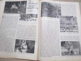 Kotiliesi 1933 nr 16, kansikuva Rudolf Koivu, Suomalaisia emäntiä, Kaatumatautisten huolto, Vähän sienistä, Nyt kilpaillaan neulepuseroista, Mies ja yöpaita, ym.