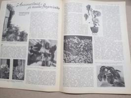 Kotiliesi 1933 nr 20, kansikuva Rudolf Koivu, Miten kodit selviytyvät pula-ajasta, Kotpuutarhojen syystehtävistä, Minun saunani, Lapsen sairastuessa, ym.