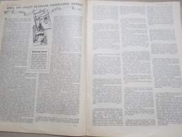 Kotiliesi 1933 nr 22, kansikuva Rudolf Koivu, Kirje äidille, Kotitalousneuvonnan vastainen järjestäminen, Kaupalliset naiset, Pieniä syitä, isoja seurauksia, ym.