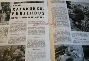 Nuori oikeisto nr 8 1963