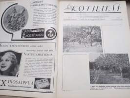 Kotiliesi 1934 nr 6, kansikuva Rudolf Koivu, Perheenemäntä ja sairas kotiapulainen, Ja taas sinä roskaat, Mitä teen ruusuilleni tähän aikaan?, Hiihtotakki, ym.