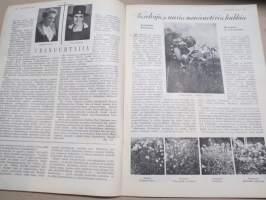 Kotiliesi 1934 nr 7, kansikuva Rudolf Koivu, Risti ja toivo, Kuistin kalustaminen, Vanhoja ja uusia monivuotisia kukkia, Pukua sovitellaan uudelleen, ym.