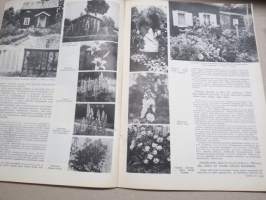 Kotiliesi 1934 nr 7, kansikuva Rudolf Koivu, Risti ja toivo, Kuistin kalustaminen, Vanhoja ja uusia monivuotisia kukkia, Pukua sovitellaan uudelleen, ym.