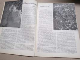 Kotiliesi 1934 nr 10, kansikuva Rudolf Koivu, Olemassaolomme perusteita, Nykyajan ihmisten ruokajärjestelmä, Kaikkien kesien juhlapuku, Emäntien lepopäivä, ym.