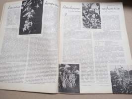 Kotiliesi 1934 nr 10, kansikuva Rudolf Koivu, Olemassaolomme perusteita, Nykyajan ihmisten ruokajärjestelmä, Kaikkien kesien juhlapuku, Emäntien lepopäivä, ym.