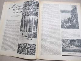 Kotiliesi 1935 nr 3, kansikuva Martta Wendelin, Kuka on oikea Pityu?, Kuolemisen taito on elämäntaidon kypsyysnäyte, Nuorten parien koteja, Vieraskoreutta, ym.