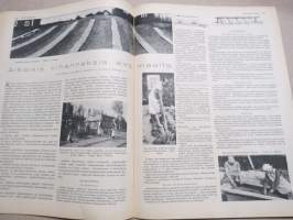 Kotiliesi 1935 nr 6, kansikuva Martta Wendelin, Mikä on ihmiselle tärkeintä elämässä?, Perheenemäntä kotiapulaisensa työnjohtajana, Työhulluus, Kultatähkäpäivä!, ym.