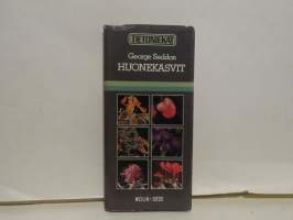Huonekasvit