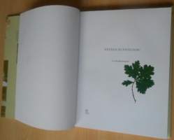 Kesäksi Ruissaloon!