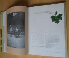 Kesäksi Ruissaloon!