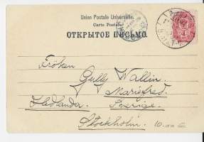 Turku Tuomiokirkko    -  paikkakuntakortti kulkenut 1901