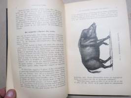 Handbok i svinskötsel