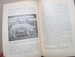Handbok i svinskötsel