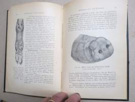 Handbok i svinskötsel