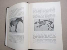 Hippologia - handbok i hästkännedom