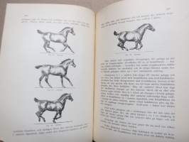 Hippologia - handbok i hästkännedom