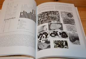 Geology and ore petrology of the Akanvaara and Koitelainen mafic layered intrusions and the Keivitsa-Satovaara layered complex, northern Finland