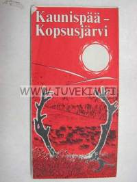 Kaunispää-Kopsusjärvi ulkoilukartta 1976