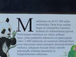 Suuri eläintieto