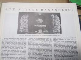 Allas Krönika - Illustrerad Veckoskrift 1925 -inbunden årgång / sidottu vuosikerta / annual volume