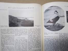 Allas Krönika - Illustrerad Veckoskrift 1930 -inbunden årgång / sidottu vuosikerta / annual volume