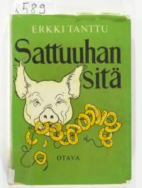 Sattuuhan sitä