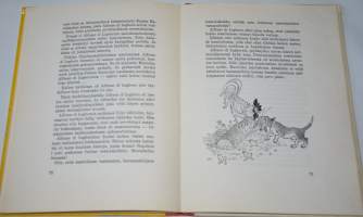 Onnenkäki ja käpälämäki  eläinsatuja