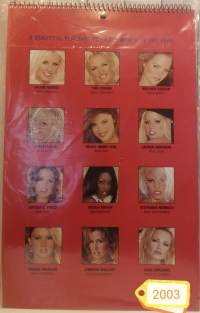 Playboy Playmate Calendar 2003