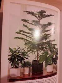 Kodin kukat- viihtyisyyttä viherkasveilla.Toinen painos 1983. Ruhmässä tai yksin, viherkasvi on katseen vangitsija,somistaja  tai isokokoisena huonetilan jakaja.