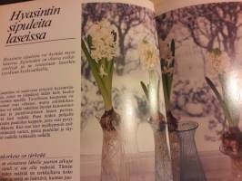 Kodin kukat- sipulit ja siemenet. Painos1, painettu 1982. Selkeä teksti, selkeine ohjeineen. Loistavia pienempia ja koko sivun kuvia