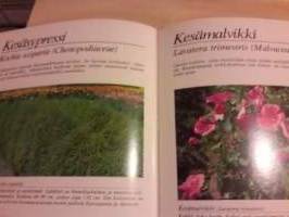 Kodinkukat-kesäkukat.1-painos,1983 Asetelmia terasseille, parvekkeille,ikkunan ulkopuolelle tai pihaan  yksin tai loistaviin ryhmiin.Selkeät selostukset,paljon kuvia