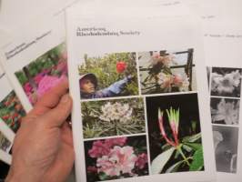 American Rhodorendron Society Journal - lehtiä vv. 2008-2013 11 kpl