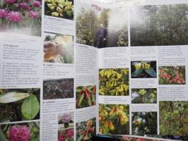 Rhodo-Info Sydsvenska Rhodorendron Sällskapet SRS - lehtiä vv. 2008-2015 20 kpl