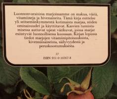 Mihin marjamme kelpaavat