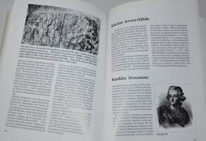 Mattila Kyläkunta väylien varrella