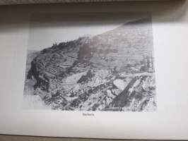 Knut Tallqvist och hans fästmö - Deras brevväxling under hans resa i Orienten 1893-1895