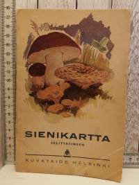 Sienikartta selityksineen