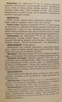 Sienikartta selityksineen
