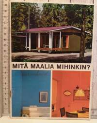 Mitä maalia mihinkin?