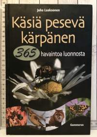 Käsiä pesevä kärpänen  - 365 havaintoa luonnosta