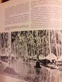 Maailma palaa. Toinen maailman sota-kolme kirjaa. Tarkkaa kerrontaa eripuolilta maailmaa. Samoin kuvia joka maasta sodan edetessä. Sivuja yhteensä 1431. P. 1975.
