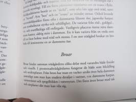 Inspiration från japanska trädgårdar