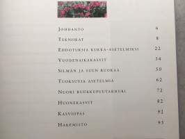 Kaunis ruukkupuutarha