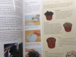 Kaunis ruukkupuutarha