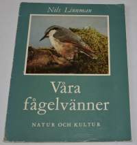 Våra fågelvänner