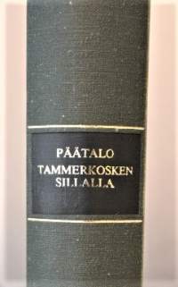 Tammerkosken sillalla